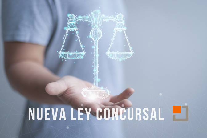 Nueva Ley Concursal