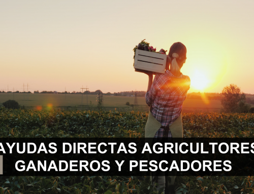 AYUDAS DIRECTAS AGRICULTORES, GANADEROS Y PESCADORES 2023